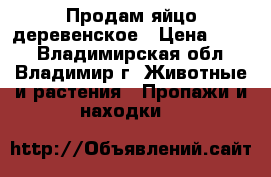 Продам яйцо деревенское › Цена ­ 100 - Владимирская обл., Владимир г. Животные и растения » Пропажи и находки   